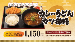 カレーうどんカツ御膳